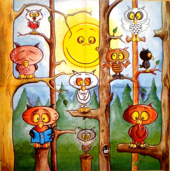 002 Eulen - 3-lagig - Vielseidig